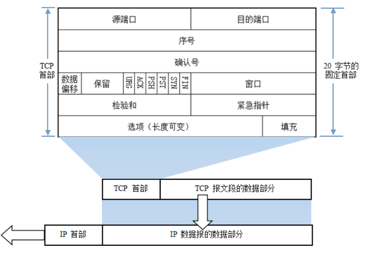 TCP报文段的首部格式